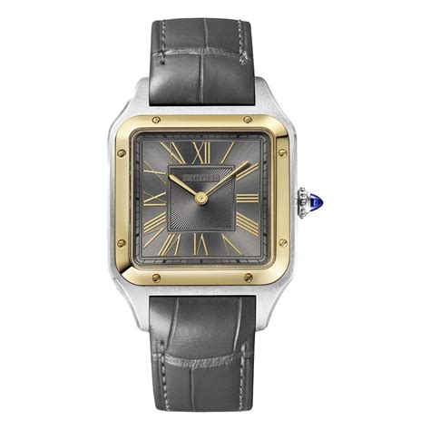 cartier w2sa0028